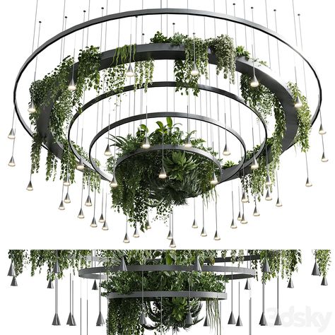 Circle pot light pendant plant light hanging 12 - Indoor - 3D model Unique Landscaping, Retail Store Interior Design, Plant Light, Dream Wedding Decorations, Pot Lights, Light Hanging, Garden Cafe, Hotel Interior Design, Spa Room