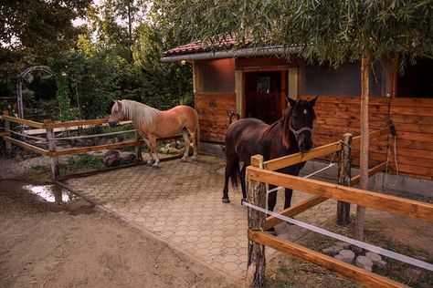 Small Horse Paddock, Horse Tie Up Area, Paddock Paradise Layout, Horse Paddock Ideas, Small Paddock, Paddock Paradise Ideas, Horse Stables Small, Equine Stables, Small Horse Barns