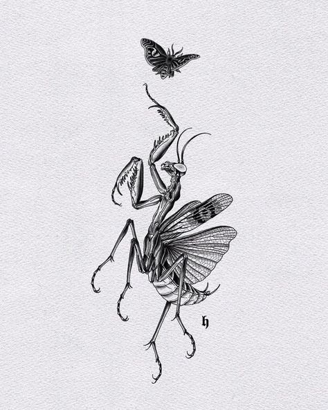 Fine Line Big Tattoo, Realistic Bug Tattoo, Bugs Tattoo Insects, Cute Insect Tattoos, Praymantis Tattoos, Sphinx Moth Tattoo, Mantis Tattoo Design, Praying Mantis Tattoo, Insect Drawings