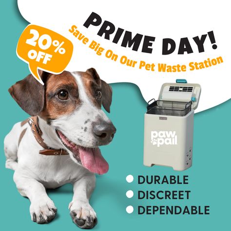 ⏰ This is not a drill! It’s Amazon Prime Day through tomorrow!

Now’s your chance to get your pooch their very own Pet Waste Station for 20% off! Say goodbye to flimsy bags and stinky poop storage!

Get yours here: https://amzn.to/3zyo3RG


#amazonprimeday #primeday #primedaypet #petdeals #dogpoopcontainer #dogpooptrash #petwastemanagement #petwastestation #poopbags #dogpoop #dogpoopbags #bestdogpoopbags #dogproducts #dogblog #toprateddogproducts #dogmusthaves Pet Waste Station, Pet Waste Bags, Pet Day, Amazon Prime Day, Dog Blog, Dogs Pooping, Prime Day, Outdoor Dog, Air Filter