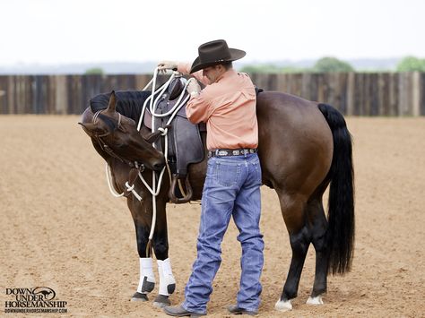 Riding Exercise #1: Flex With the Bridle on the Ground  Goal: Before I mount, I’ll always flex the horse a few times on both sides with the bridle to make sure he’s soft and paying attention. If he’s stiff and resistant on the ground, he won’t be any better under saddle.  More about the exercise: https://www.downunderhorsemanship.com/Store/Product/MEDIA/D/252/ Downunder Horsemanship, Clinton Anderson, Horse Training Exercises, Horse Lessons, Riding Tips, Horse Training Tips, Horse Trainer, Horse Boarding, Horse Videos