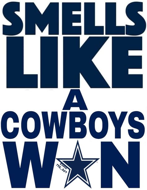 Go Cowboys Dallas, Dallas Cowboys Win Quotes, Cowboy Haters, Dallas Cowboys Win, 49ers Funny, Dalls Cowboys, Falcons Cake, Cowboys Game Day, Football Cowboys