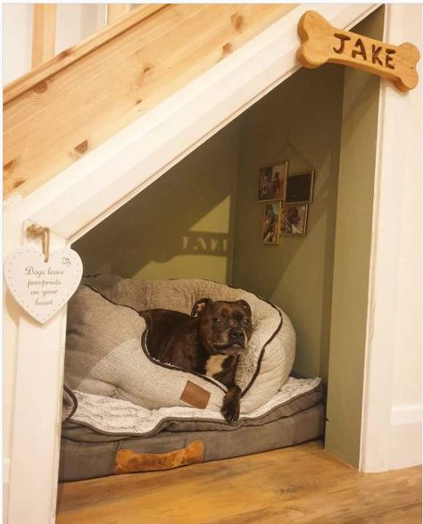 Dog Rooms Under Staircase, Dog Inside House, Pet Bed Under Stairs, Doghouse Under Stairs, Pet Nook Under Stairs, Dog Spot Under Stairs, Dogs Corner In House, Dog Cave Under Stairs, Dog Crate Under Stairs Built Ins