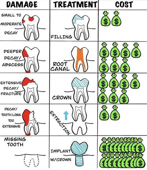 Dental Comics, Dental Assistant Study Guide, Dental Charting, Dental Assistant School, Dental Assistant Study, Dental Hygiene Student, Random Knowledge, Dental Posters, Dental Videos