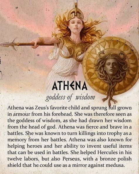 Greek Mythology and Culture on Instagram: “Athena, goddess of wisdom🦉 Follow @greeklore⚔️(me) • • • • • • #greek #greekmythology #zeus #hades #poseidon #mythology #rickriordan…” Poseidon Mythology, Zeus Hades Poseidon, Hades Poseidon, Zeus Hades, Mythology Humor, Athena Goddess Of Wisdom, Greek Mythology Goddesses, Witch Life, Greece Mythology