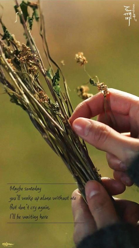 Moonless Night..... Goblin Kdrama Quotes, Goblin Aesthetic, Buckwheat Flower, Goblin The Lonely And Great God, Quotes Flower, Goblin Gong Yoo, Goblin Korean Drama, Goblin Kdrama, Moonless Night