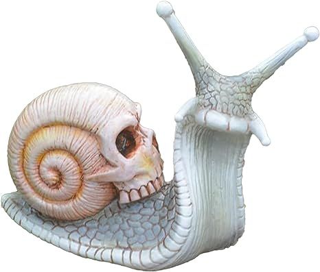 Amazon.com: Leatrice Halloween Skull Snail,Skull Sculpture，Gothic Home Decor Resin Crafts Outdoor Garden Yard Decoration Skull Art Sculpture Ornament Patio Lawn Yard Office Decorations Gift（White） : Home & Kitchen Skeleton Decorations Outdoor, Skull Snail, Yard Office, Crafts Outdoor, Halloween Patio, Skull Sculpture, Gothic Garden, Skeleton Decorations, Office Decorations