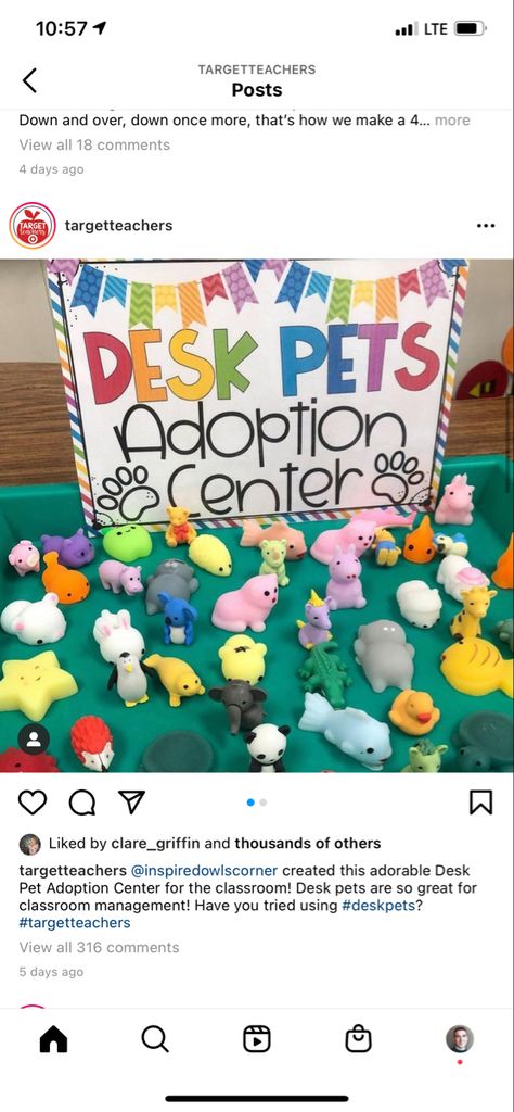 Desk Pet Adoption Center, Desk Pets, Pastel Classroom, Desk Pet, Ag Teacher, Animal Erasers, Classroom Goals, Preschool Art Projects, Pet Adoption Center