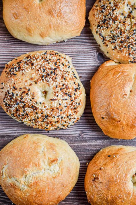 Six sourdough discard bagels are laid out with two everything bagels in the mix. Sourdough Discard Bagels, Discard Bagels, Nyc Bagels, Blueberry Bagel, Everything Bagels, Sourdough Bagels, Discard Recipe, Sourdough Starter Discard Recipe, Homemade Bagels