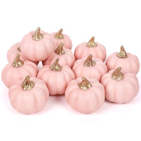 PRICES MAY VARY. Package Includes - 12pcs bulk pink artificial pumpkins. Each measures 8cm/3.1 inch in diameter. Perfect for creating a warm fall atmosphere. They will make your house more charming. Good Material - Our artificial pumpkins are made of good quality foam and plastic. Designed for indoor and outdoor use. These fake foam pumpkins are safe, durable and reusable. Vintage Color - Our artificial pumpkins are colored in pink, look more retro and unique, making your party house wedding dec Pink Fall Gnomes, Pink Pumkin Boho Baby Shower, My Lil Pumpkin Baby Shower, My Little Pumpkin Baby Shower Centerpieces, Pumpkin Flower Center Pieces With Pink Pumpkins Wedding, My Little Punkin Baby Shower, Halloween Home Party, Pink Pumpkin Baby Shower, Halloween Table Centerpieces