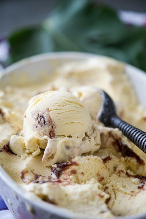 Goat Cheese Ice Cream, Fig Ice Cream, Thai Tea Recipes, Fig And Goat Cheese, Fig Goat Cheese, Cheese Ice Cream, Roasted Figs, Scoop Of Ice Cream, Easy Ice Cream Recipe