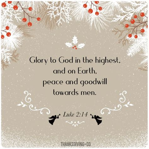 8 Biblical Christmas quotes and scriptures Biblical Christmas Quotes, Christmas Card Quotes, Christian Christmas Quotes, Religious Christmas Quotes, Christmas Quotes Images, December Scriptures, Biblical Christmas, Christmas Eve Quotes, Religious Christmas Card