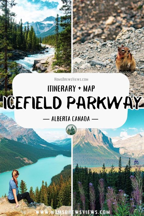 Icefields Parkway Canada Map, Icefield Parkway Stops, Ice Fields Parkway Canada, Icefields Parkway Itinerary, Golden Canada, Glacier National Park Canada, Banff Vacation, Canada Rockies, Alcan Highway