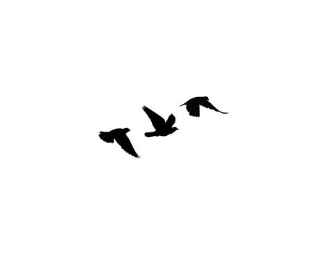 Birds Tattoo - ClipArt Best Bird Outline Tattoo, 3 Birds Tattoo, Three Birds Tattoo, Free Bird Tattoo, Bird Silhouette Tattoos, White Bird Tattoos, Small Bird Tattoos, Vogel Tattoo, Bird Tattoo Wrist