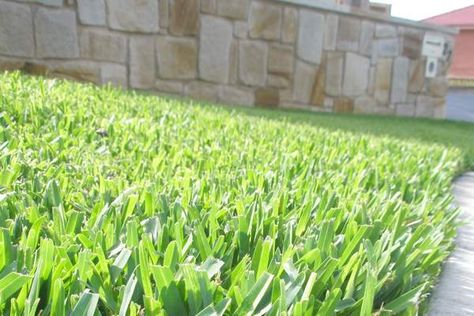 Fake Grass Installation, Grass Installation, Installing Artificial Turf, Fake Turf, Turf Installation, Lawn Turf, Synthetic Lawn, Artificial Grass Installation, Artificial Lawn