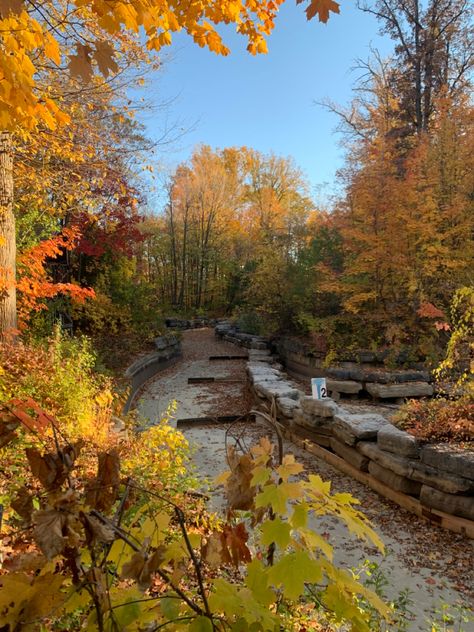 Cold Colours Aesthetic, Canada Fall Aesthetic, My Vibe Aesthetic Colour, Gillian Core, Kaitlyn Core, Fall In Canada, Aesthetic Afternoon, Aesthetic Canada, Aesthetic Walking