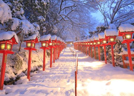 Osaka Winter, Kobe City, Winter In Japan, Japan Winter, Light Festival, New Years Traditions, Winter Trip, Best Ski Resorts, Japan Travel Guide