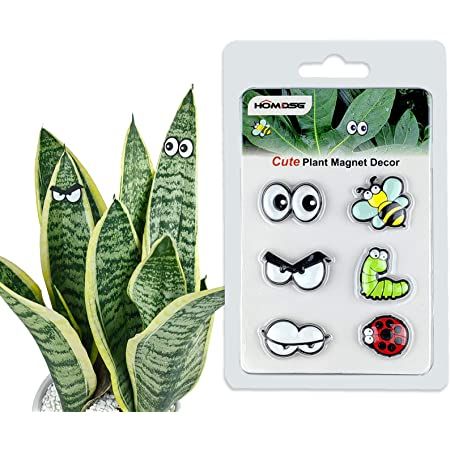 #Affiliate Plant Magnets Eyes for Potted Plants Plant Magnets, Gifts For Plant Lovers, Plant Accessories, Garden Christmas, Plant Lover Gift, Accessories Set, Plant Mom, Plant Lady, Plant Gifts