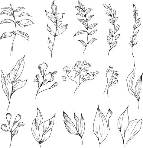 Set of a decorative stylized botanical flowers and leafs isolated on white background. Highly detailed botancal line drawing and doodling art, minimisis botanical tattoo design. Botanical Label Design, Botanical Tattoo Design, Doodling Art, Botanical Line Drawing, Botanical Tattoo, Botanical Flowers, Design Design, Label Design, Doodle Art