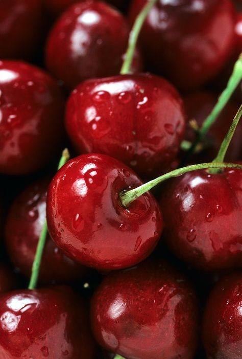 Bing Cherries, Cherry Cookies, Desen Realist, Reference Photos For Artists, Prismacolor Art, Fruits Photos, Výtvarné Reference, Fruit Wallpaper, Cherry Fruit