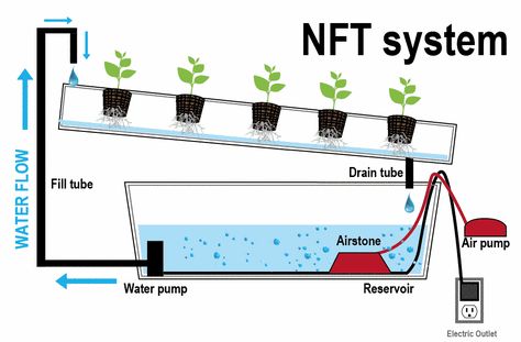 NFT Hydroponic System Diy Aquaponics, Backyard Aquaponics, Aquaponics Diy, Film Technique, Hydroponic Farming, Hydroponics Diy, Aquaponic Gardening, Plantas Bonsai, Hydroponic Growing