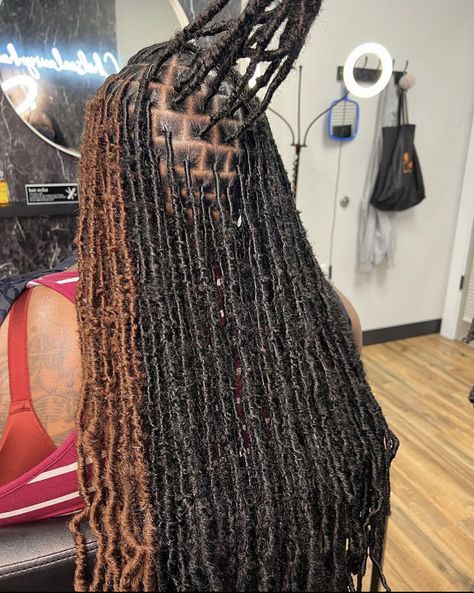 Soft Locs With Skunk Stripe, Brown And Black Faux Locs, Skunk Stripe Soft Locs, Soft Locs Peek A Boo, Black And Brown Soft Locs, Brown And Black Locs, Peekaboo Faux Locs, Colored Soft Locs, Ocean Locs