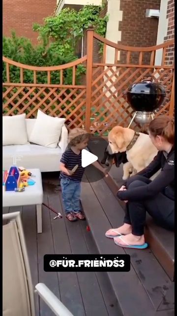 𝗳𝘂𝗿.��𝗳𝗿𝗶𝗲𝗻𝗱𝘀𝟯 on Instagram: "The end Baby have fun playing withe the dog😊🥰#dog #baby #friends #dogsofinstagram #dogandbaby #cute #fypシ" Baby Friends, Dog Baby, April 27, Dog Dog, Have Fun, Fur Babies, The End, Dogs, On Instagram