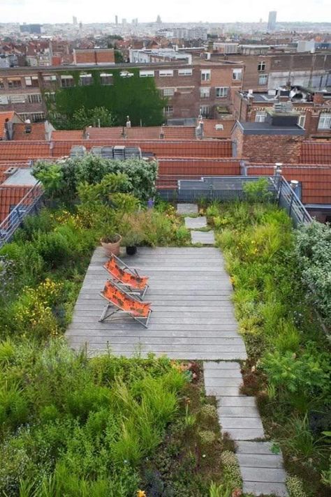 www.1001gardens.org/2014/02/urban-roof-terrace/  When nature conquer rooftop! I love this urban rooftop terrace, a cool place to relax in this world of concrete! Roof Top Gardens, Roof Top Garden, Garden Ideas To Make, Elevated Garden, Roof Terraces, Rooftop Gardens, Roof Gardens, Green Roofs, Porch And Balcony