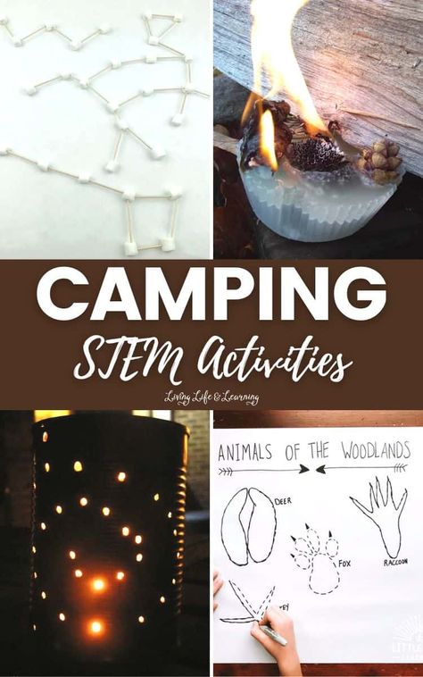 Camping STEM Activities Camping Experiments For Kids, Camping Homeschool Activities, Camping Steam Activities, Camp Read A Lot Activities, Camping Ideas For Classroom, Camping School Activities, Camping Science Experiments For Kids, Camping Stem Activities, Campfire Activity