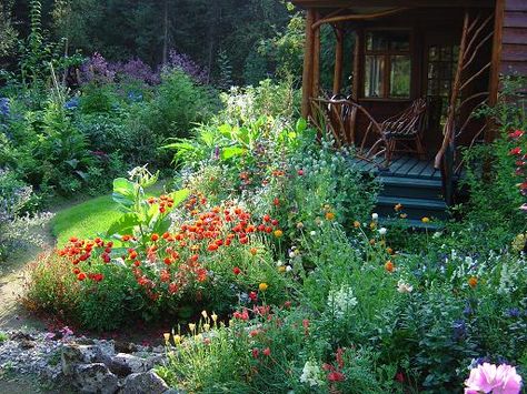 Alaska Cabin, Cottage Cabin, The Final Frontier, Travel Spots, Alaska Travel, Hanging Garden, Easy Garden, Fall Pictures, Outdoor Oasis