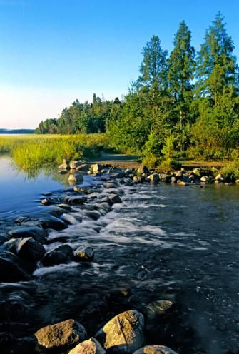 Visits to Park Rapids aren't complete without a walk across the headwaters of the Mississippi River. Trip guide: http://www.midwestliving.com/travel/minnesota/park-rapids-trip-guide/ Park Rapids Minnesota, Minnesota Adventures, Travel Minnesota, Mn State Parks, Boundary Waters Canoe Area Wilderness, Itasca State Park, Boundary Waters Canoe Area, Minnesota Travel, River Trip