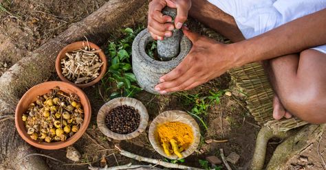 A Short Intro to Ayurvedic Medicine Ayurvedic Hair Oil, Radio Usa, Ayurvedic Doctor, Ayurvedic Hair, Ayurvedic Remedies, Ayurvedic Herbs, Ayurvedic Medicine, Herbal Supplements, Herbal Remedies