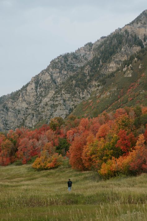 Fall In Utah, Autumn Nature Aesthetic, Polymath Aesthetic, Fall Aethestic, Utah Autumn, Fall Fashion College, Fashion Trends Aesthetic, Fall In The Mountains, Fall Nails Halloween