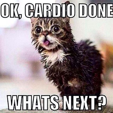 “Starting the day off right! Happy Sunday everyone :)” Gym Meme, Workout Memes Funny, Gym Humour, Motivație Fitness, Laughing Funny, Fitness Funny, Fitness Memes, Fitness Humor, Funny Fitness