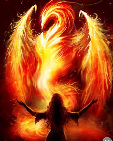 "sometimes everything hurts til you realize it's not pain it's growth" #quote #art #freespiritedwarriors Phoenix Artwork, Phoenix Art, Phoenix Bird, Fire Bird, Phoenix Tattoo, Fire Art, Fete Anime, Mystical Creatures, Arte Fantasy