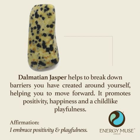 Dalmatian Jasper Stone, Discover the Dalmation Jasper Meaning from Energy Muse Dalmation Jasper Crystal Meaning, Dalmation Jasper Meaning, Jasper Meaning, Jasper Crystals, Energy Muse, Dalmatian Stone, Dalmation Jasper, Gemstone Meanings, Crystal Energy