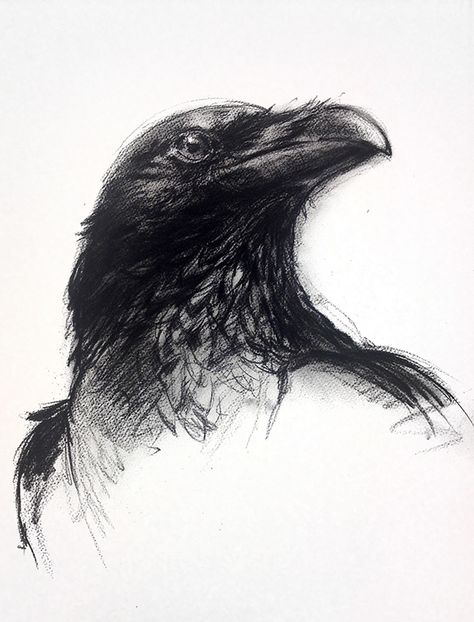 Charcoal Art Abstract, Abstract Charcoal Art, Crows Drawing, Charcoal Artwork, Crow Painting, Wrist Tattoo Ideas, Art Charcoal, Crow Art, Raven Art