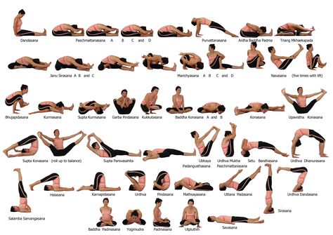 Seated Poses, Backbends and Closing Poses Ashtanga Yoga Poses, Seated Yoga Poses, Vinyasa Yoga Poses, Yoga Poses Chart, Yoga Ashtanga, Ashtanga Vinyasa Yoga, Basic Yoga Poses, Yoga Vinyasa, Yoga Poses Names