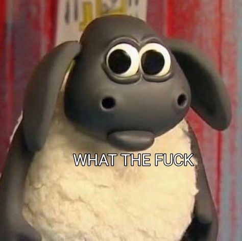 Timmy Shaun The Sheep, Timmy The Sheep, Sheep Meme, Shawn The Sheep, Elmo Wallpaper, Timmy Time, Spongebob Pics, Cute Bunny Cartoon, Shaun The Sheep