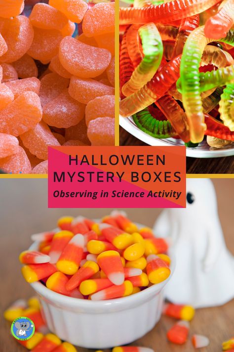 Mystery Feel Box Ideas, Mystery Sensory Boxes Halloween, Feel Boxes Halloween, Feely Box Ideas, Mystery Boxes For Halloween, Halloween Touch And Feel Box Ideas, Halloween Sensory Mystery Boxes, Whats In The Box Game Ideas Halloween, Mystery Touch And Feel Game