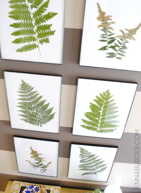 Decorate with Nature: Create Fern Art using plant clippings from your yard.  Dry them out and frame! Fern Art, Interior Design Living Room Modern, Housing Ideas, Inside House, Pressed Flower Art, Space Ideas, Spring Holidays, Nature Crafts, Night Party