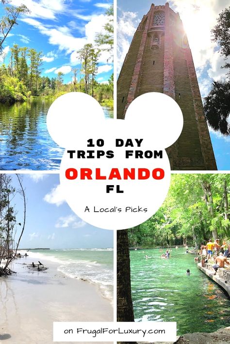 Orlando Florida Vacation, Things To Do In Orlando, Universal Trip, Florida Holiday, Florida Travel Guide, Travel Florida, Visit Orlando, Usa Destinations, Florida Adventures