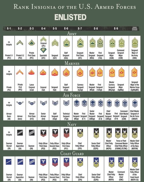 RANK STRUCTURE AND INSIGNIA OF ENLISTED MILITARY PERSONNEL - ALL BRANCHES OF US MILITARY SERVICE Army Ranks, Military Ranks, Military Records, Military Insignia, Staff Sergeant, Army Strong, Ayat Alkitab, Military Love, United States Military