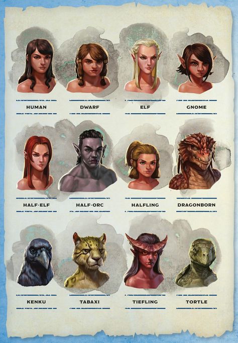 Skyrim Races, Rpg Character Sheet, Dungeons And Dragons Rules, Dungeons And Dragons Races, Dnd Character Sheet, Armor Clothing, Dnd Races, Dungeons And Dragons Art, Dungeons And Dragons Classes