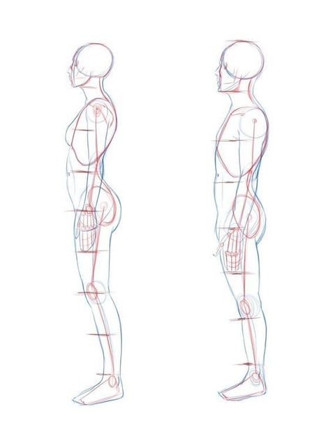 Drawing Poses Male, Male Body Drawing, Human Anatomy Drawing, Body Drawing Tutorial, Human Anatomy Art, Human Drawing, Anatomy Sketches, Body Reference Drawing, Anatomy Drawing