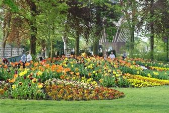 For these beautifully planted mounds -berms- to thrive, the sloping sides must rise at a very gentle rate. Landscape Berms, Landscape Berm, Tall Raised Garden Beds, Perennial Garden Plans, Raised Garden Bed Plans, Elevated Gardening, Short Plants, Diy Raised Garden, Raised Garden Beds Diy