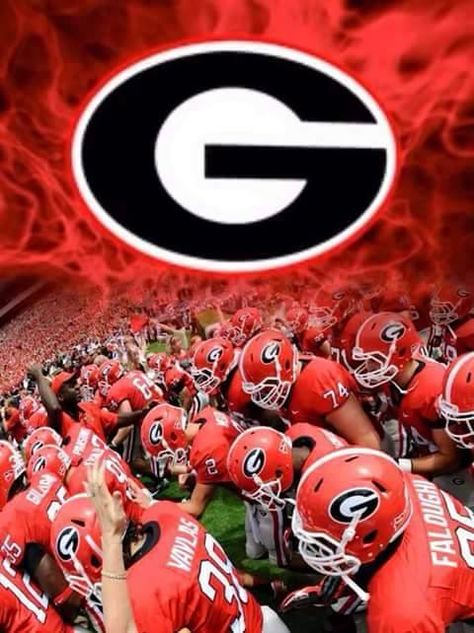 Georgia Wallpaper, Georgia Bulldog Mascot, Dawgs Football, Georgia Tech Football, Bulldog Wallpaper, Georgia Bulldawgs, Bulldog Images, Kirby Smart, Uga Football