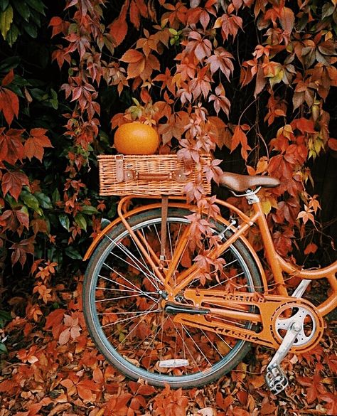 Fall aesthetic. Autumn aesthetic. Fall photography. Autumn photography. Fall inspiration. Autumn inspiration. Autumn Magic, Aesthetic Couple, Have Inspiration, Fall Inspiration, Autumn Scenes, Autumn Scenery, Autumn Painting, Autumn Beauty, Fall Pictures