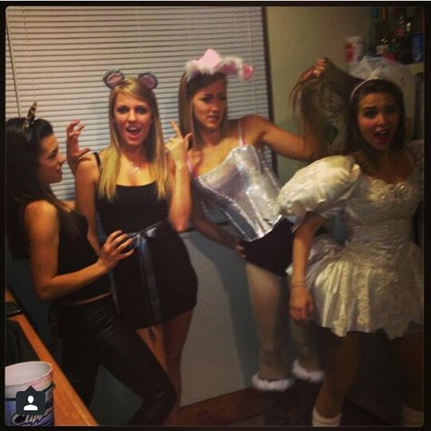 Mean girls Halloween group costume bunny, mouse, cat, ex wife Mean Girls Halloween Costume Bunny, Cat And Mouse Costume, Mean Girls Halloween, Spooky Spooky, Halloween Group, Mouse Costume, Cat And Mouse, Cat Costume, Pumpkin Costume