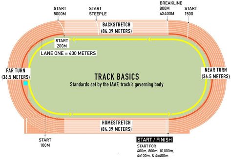 Each Track and Field Event Has Unique Characteristics, So Let's Brush Up on the Basics Kenenisa Bekele, Track Workout Training, Track And Field Events, Jackie Joyner Kersee, Olympic Track And Field, Hammer Throw, Athletics Track, Track Meet, Running Track